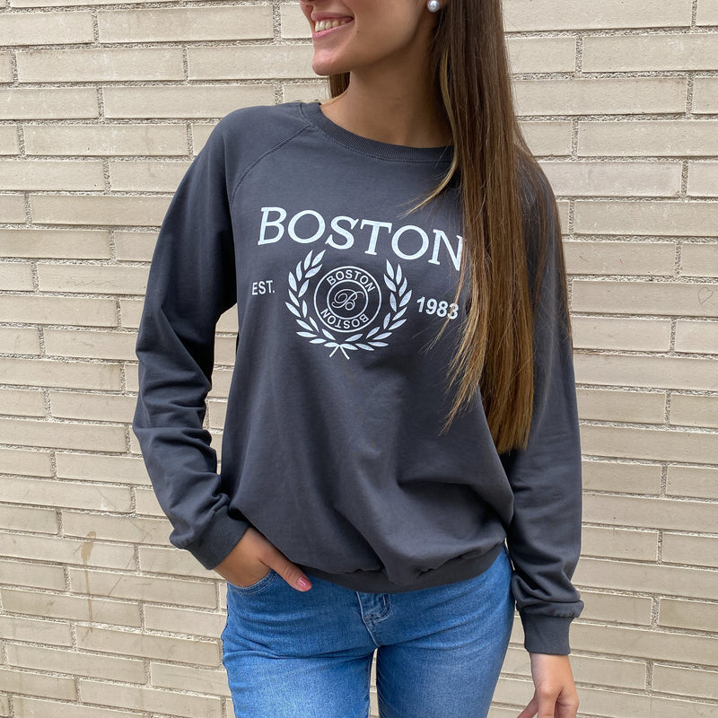 Sudadera Boston Gris