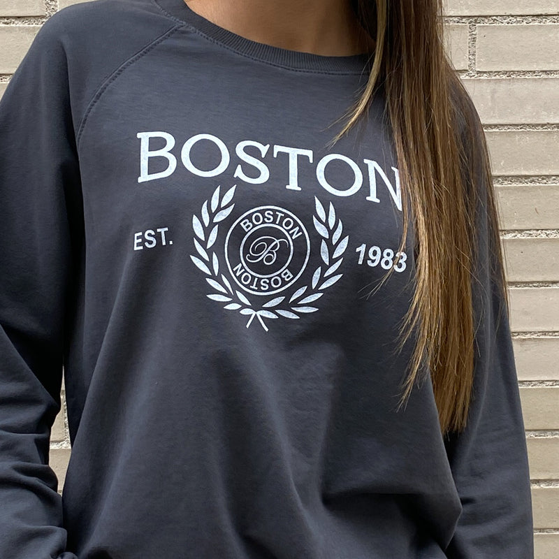 Sudadera Boston Gris