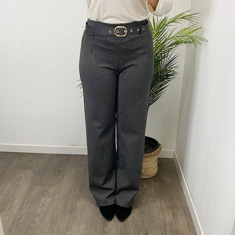 Pantalón Pinza Recto 2 Gris