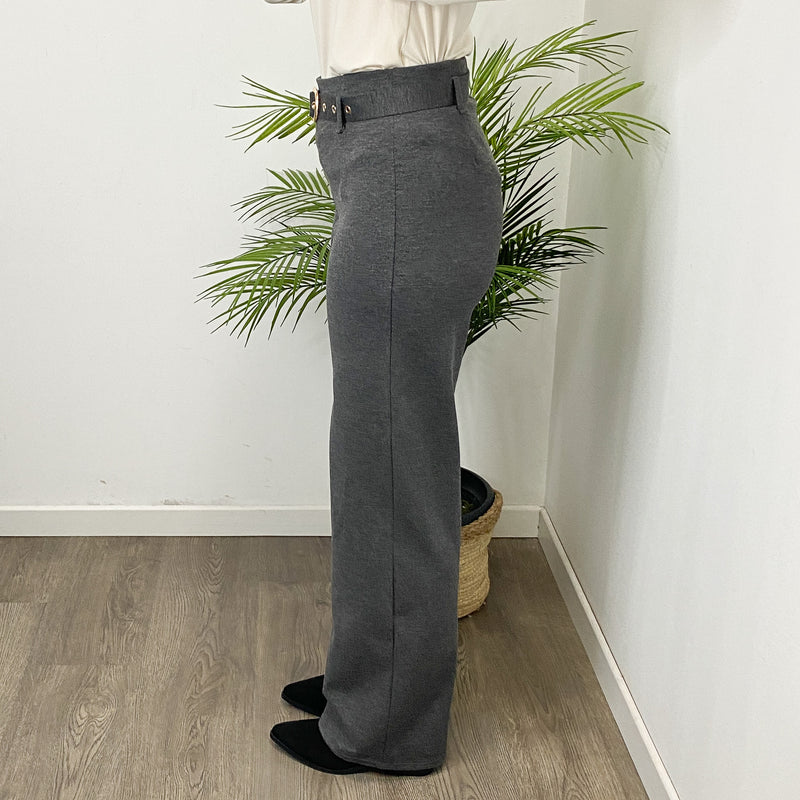 Pantalón Pinza Recto 2 Gris